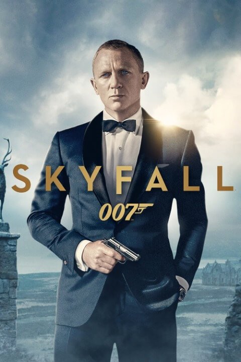 SKY FALL - VJ JUNIOR